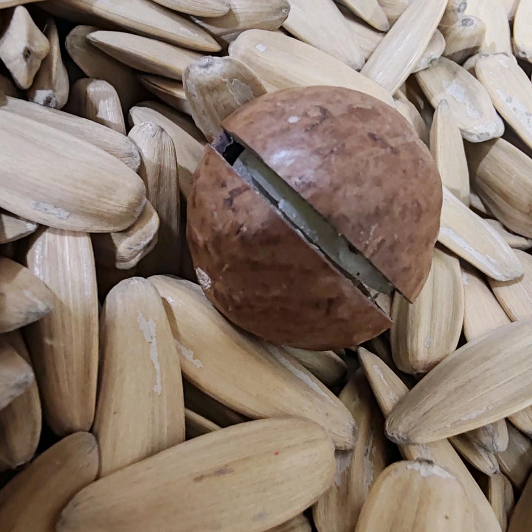 八号桥二黄炒货店