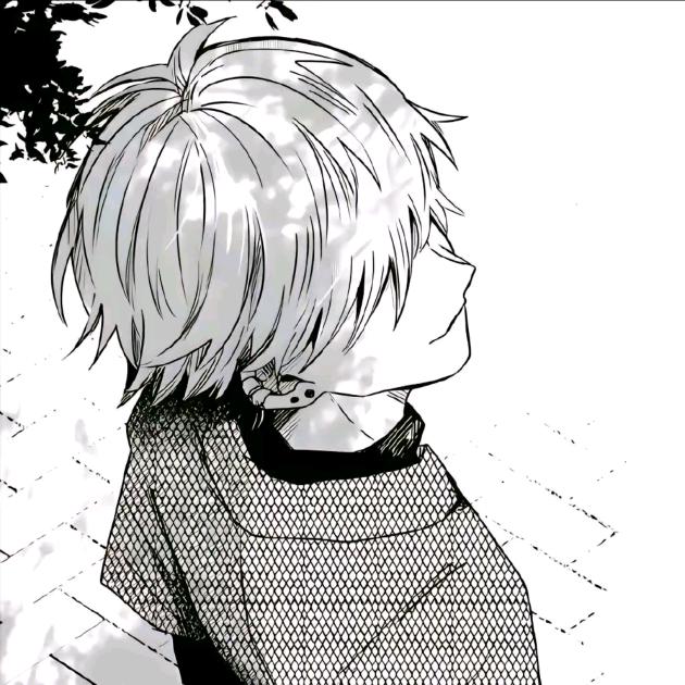 枫