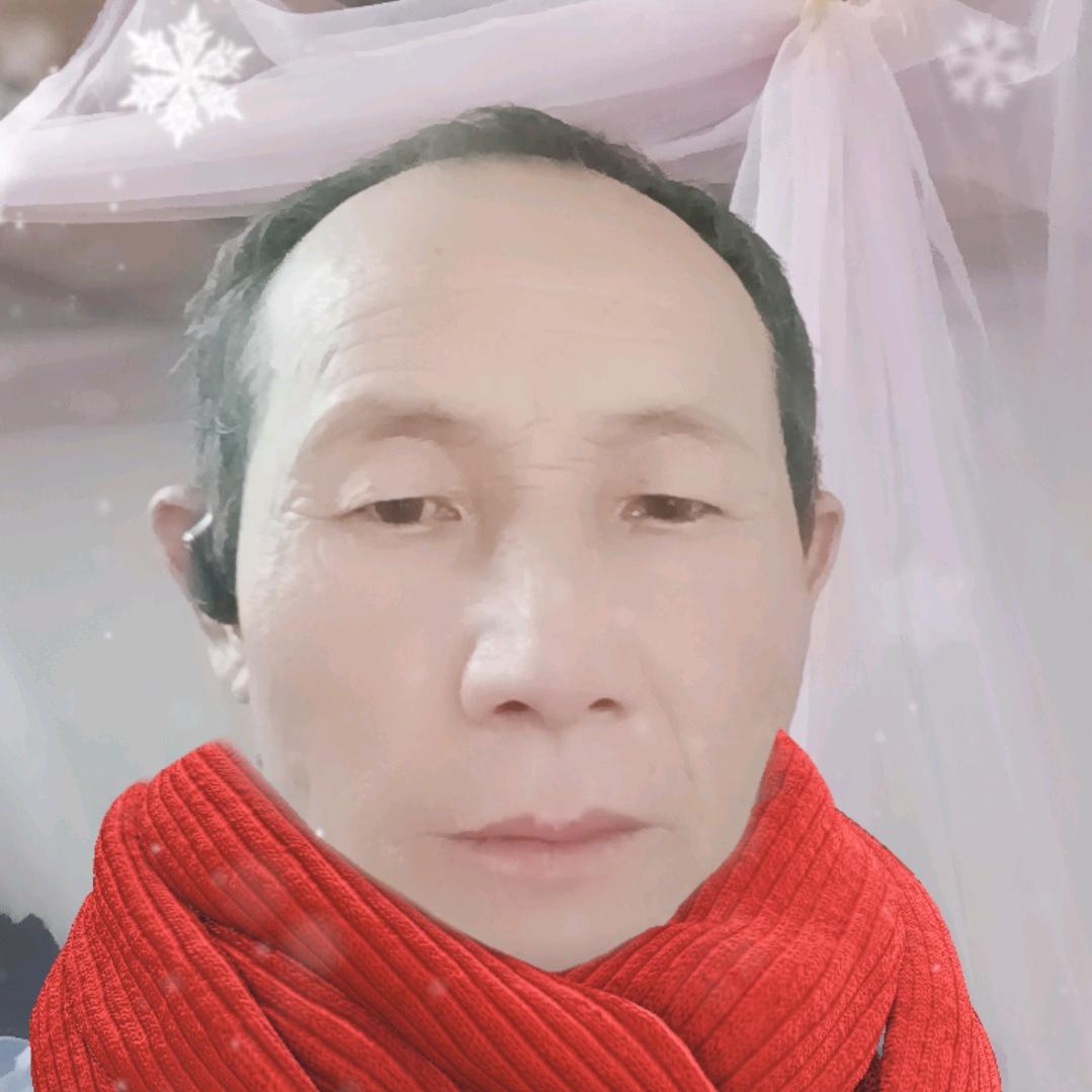 槐以宝
