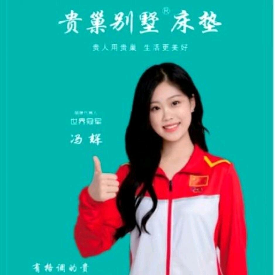 贵巢别墅床垫严光君