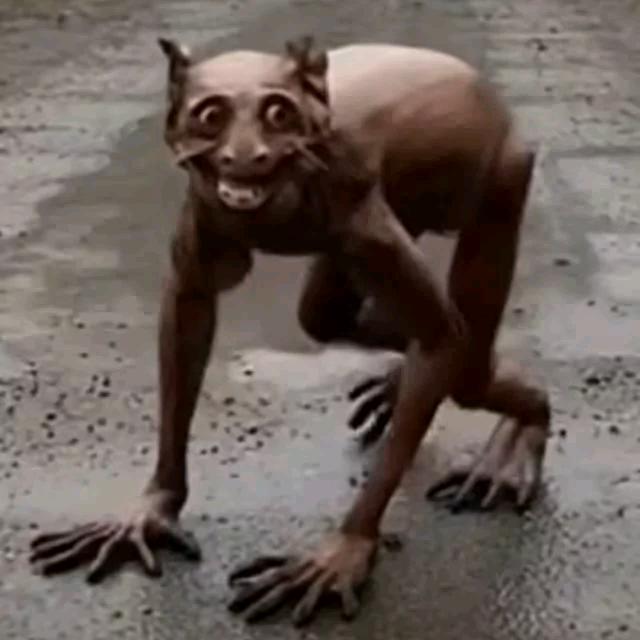 随便把头像
