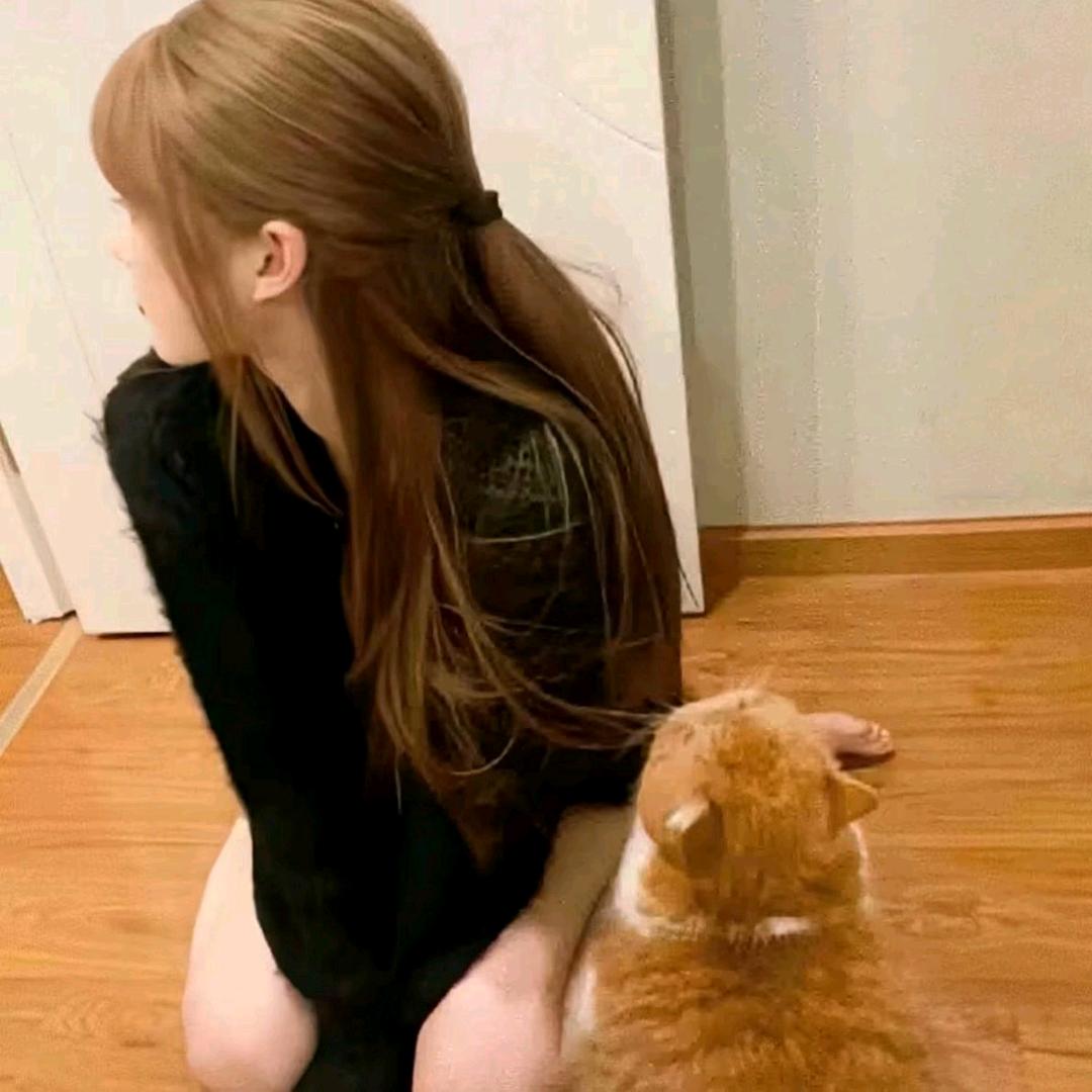 🐾