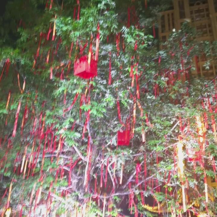 小芳
