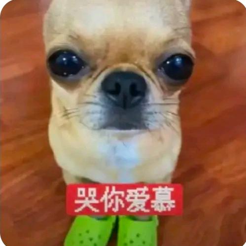 早点睡、