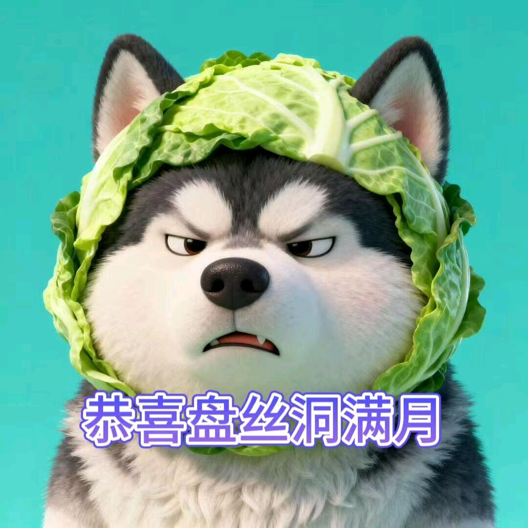 𝓝𝓰.荒芜(技术)