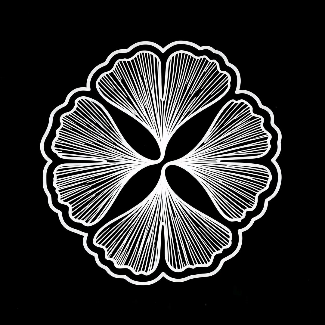 盲盒音乐（随心听）