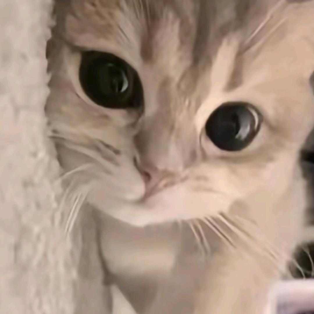 3u