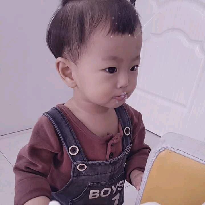 鸽子🕊