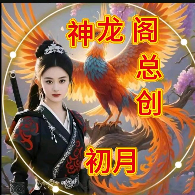 神龙阁🐉初月（总创）