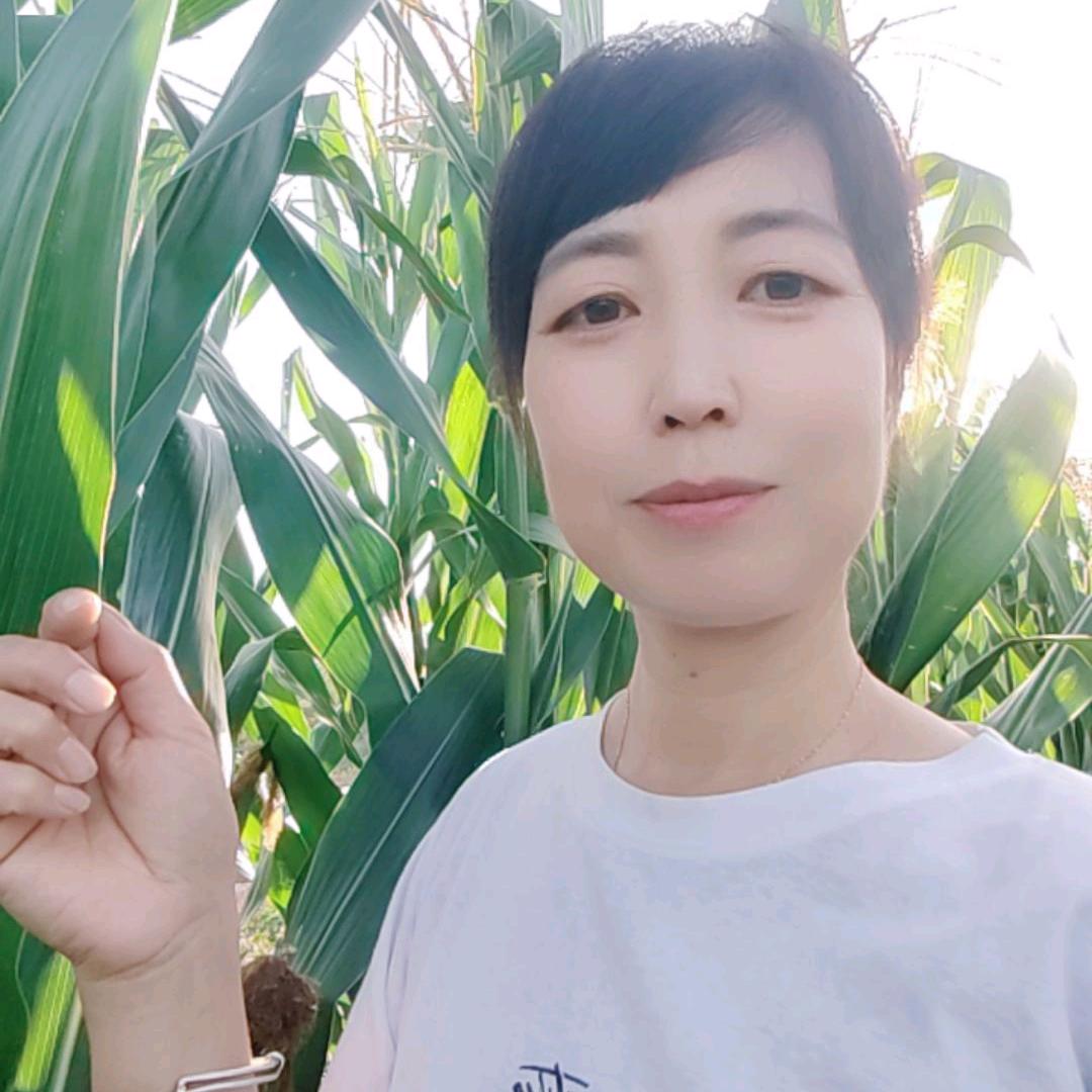 生命在聆听