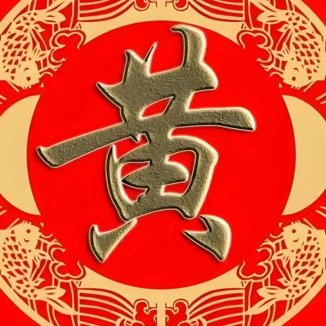 黄氏家族大代表