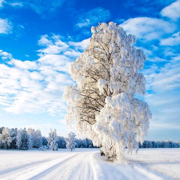 Protect her forever.