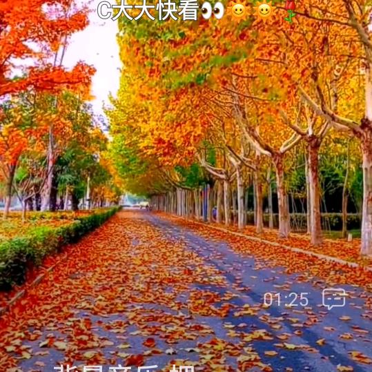 果园大亨小慕头像