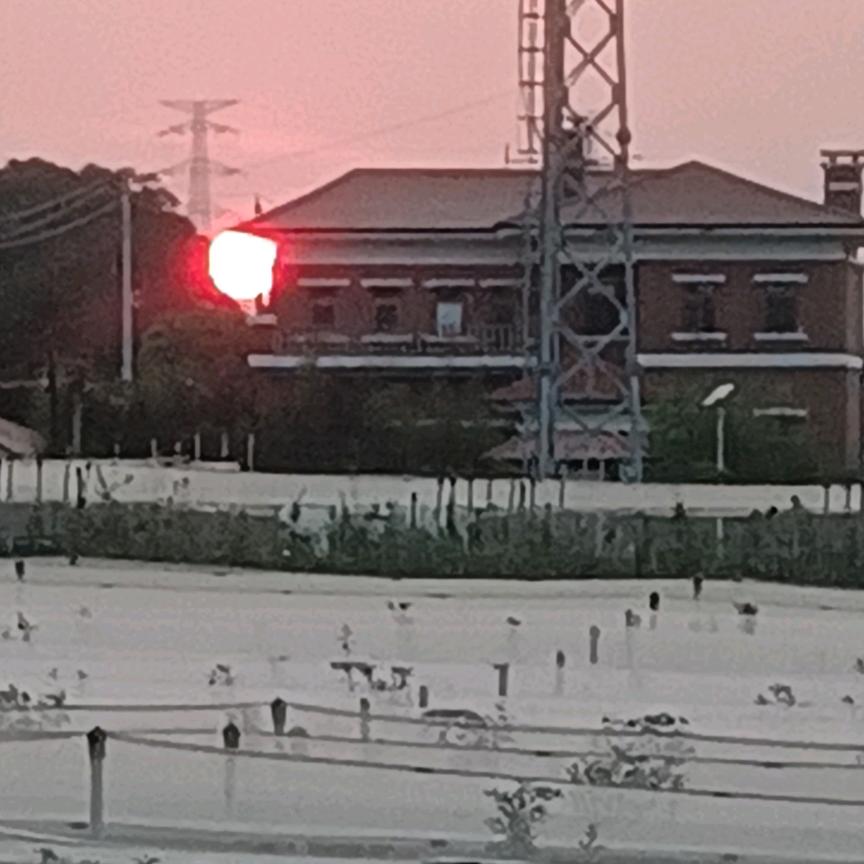 乐在其中