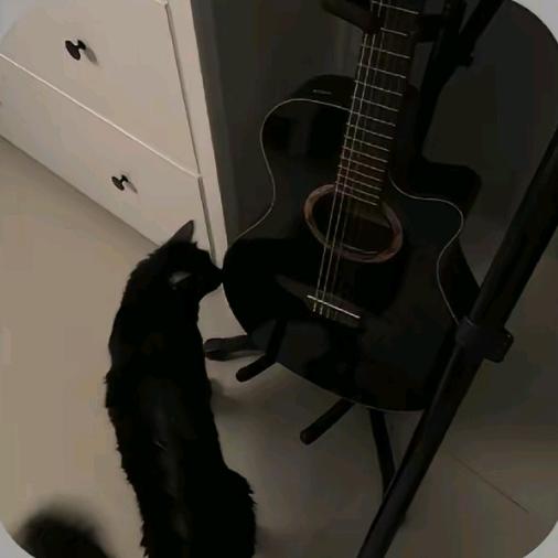 H.