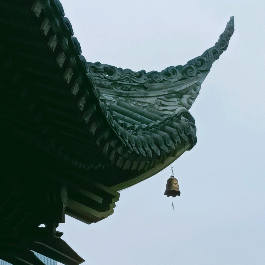可木