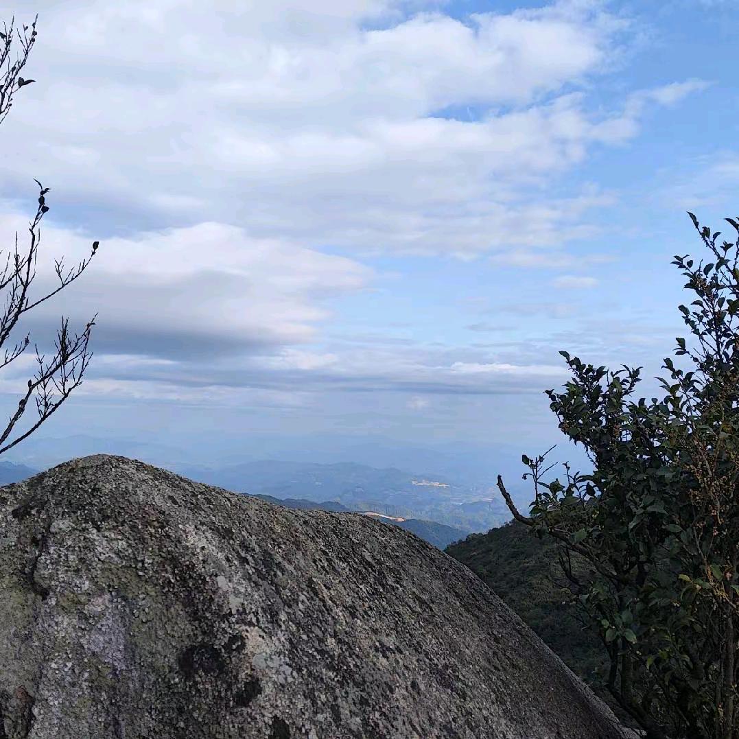 九九八