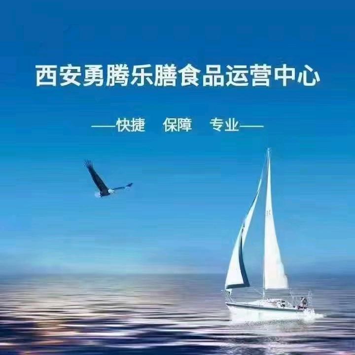 西安勇腾乐膳食品