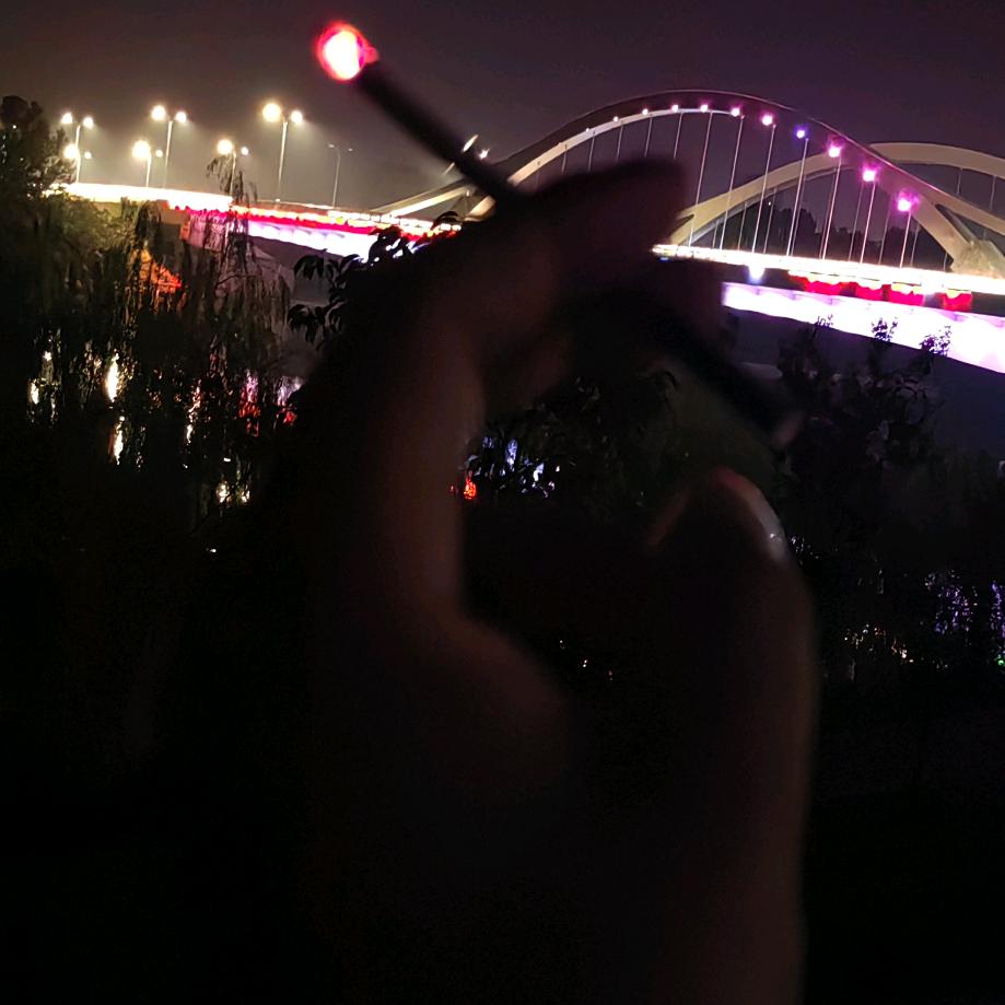 扑火的飞娥