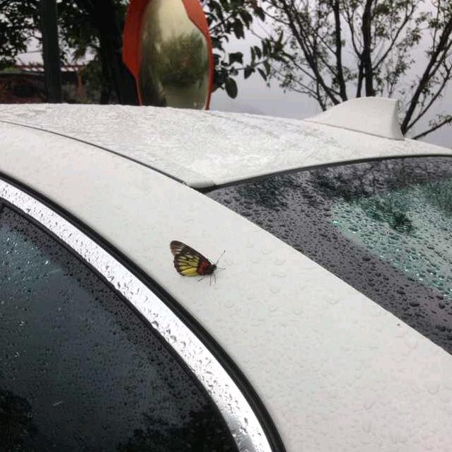 ❄️富小丢❄️