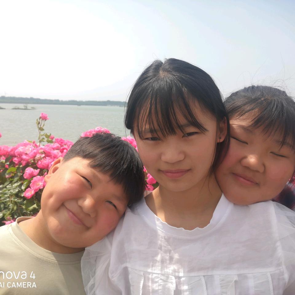 @悠悠清风吹落花😊