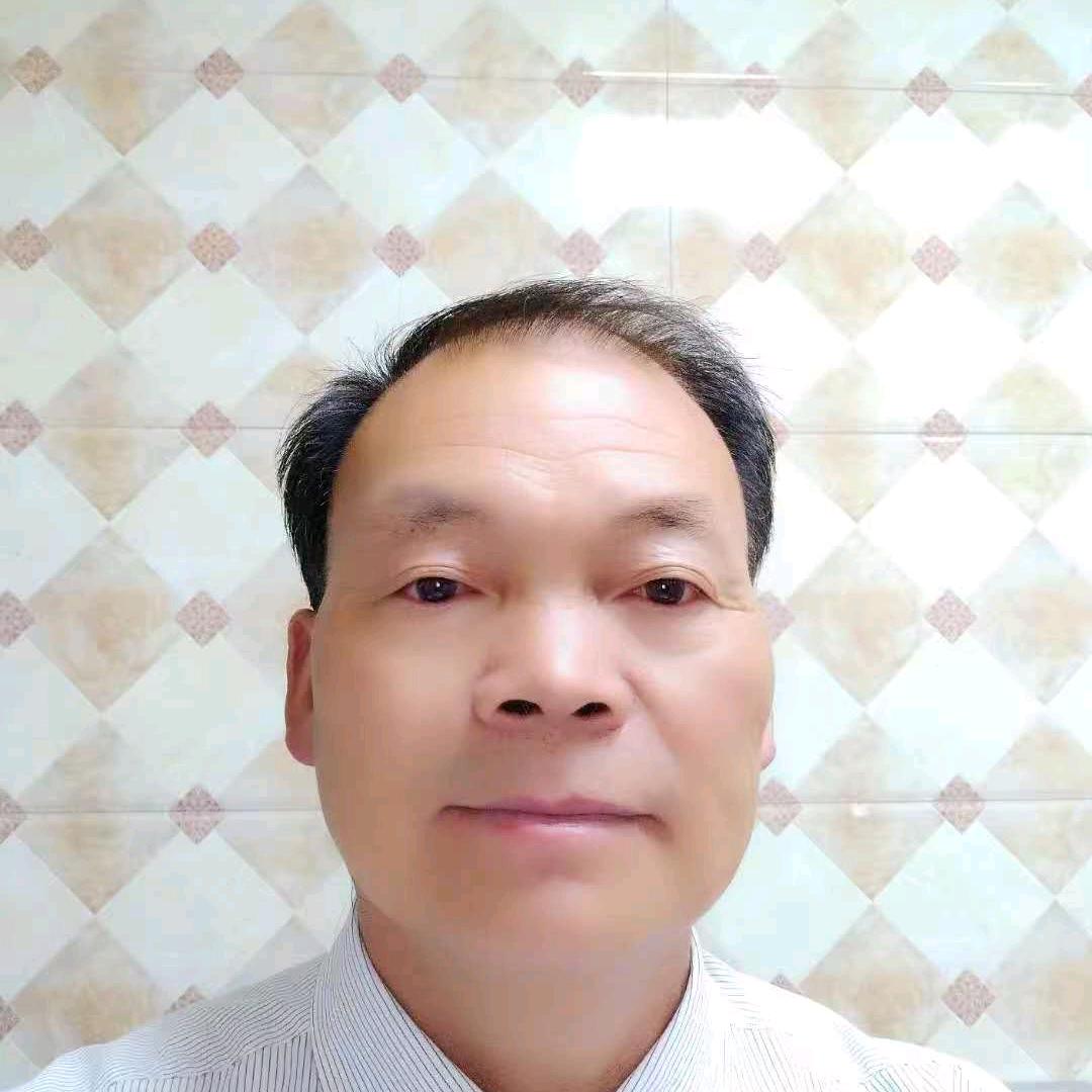 千年大树