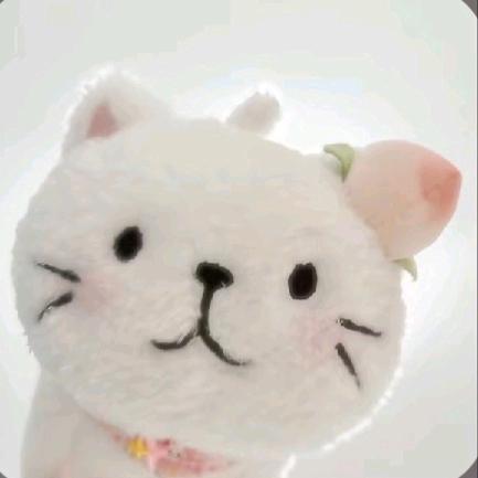 🐷胖珠珠看房宜昌