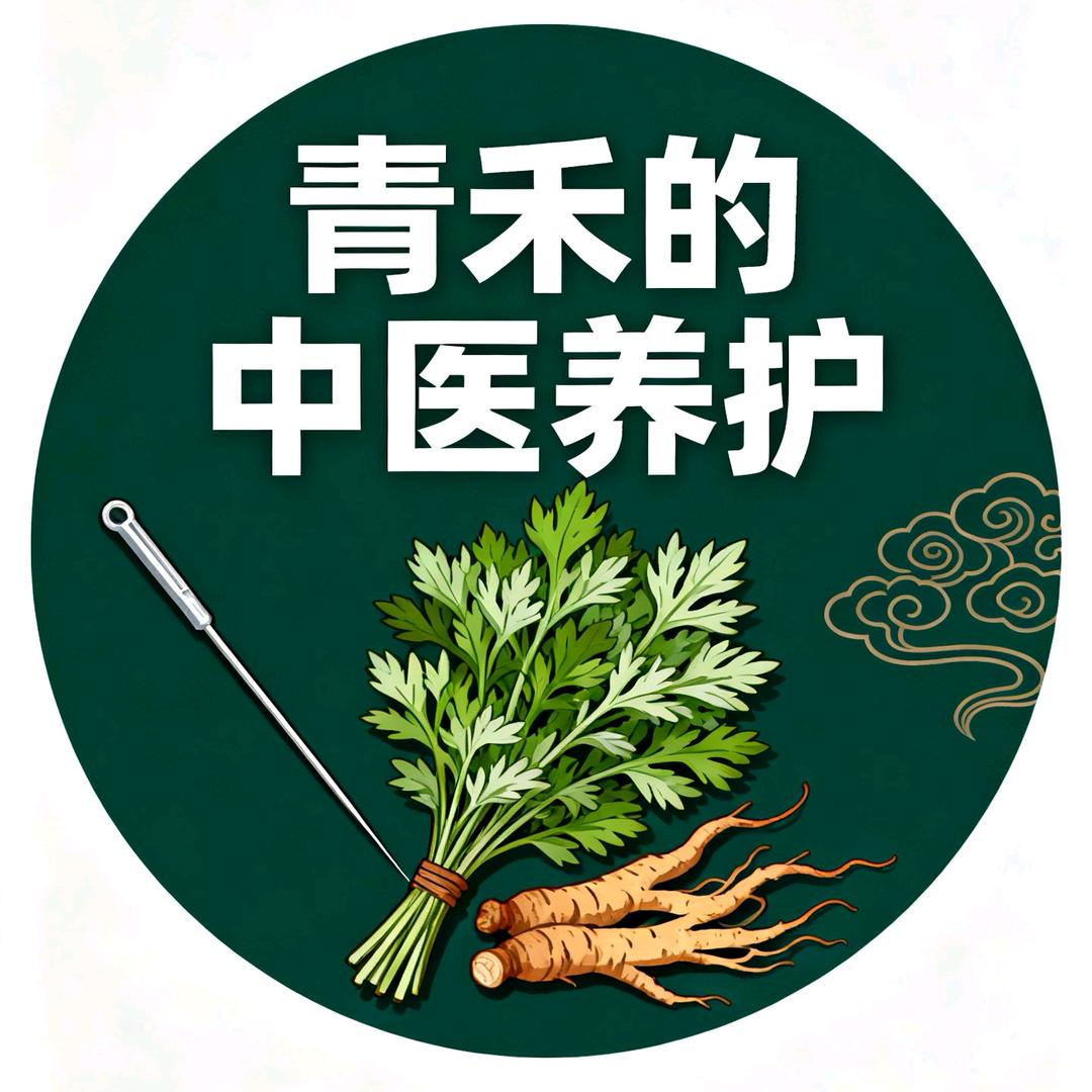 青禾的中医养护