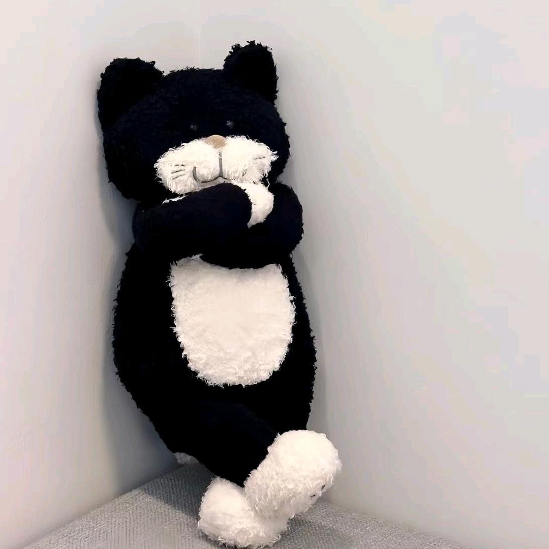 趁遇见