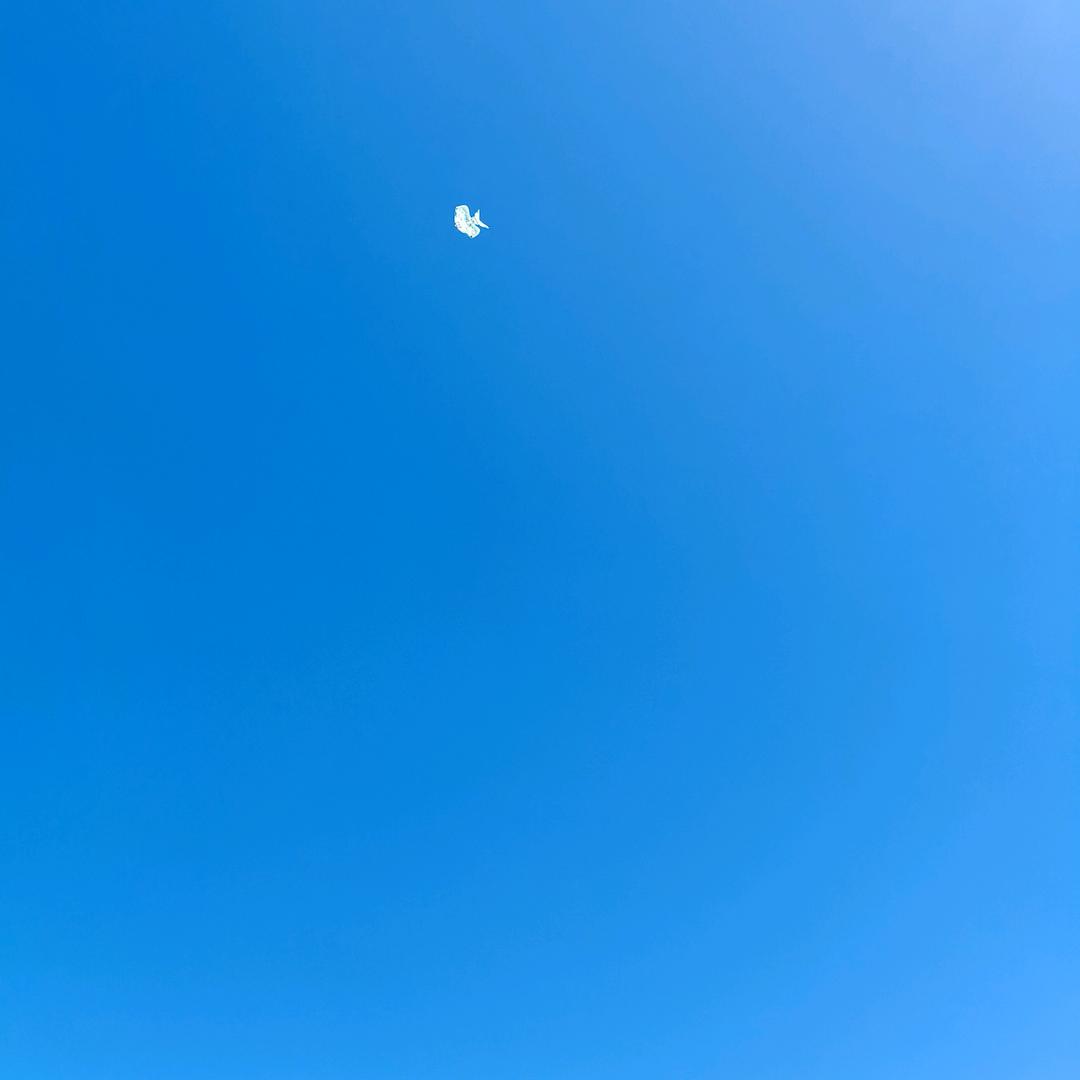 清风明月