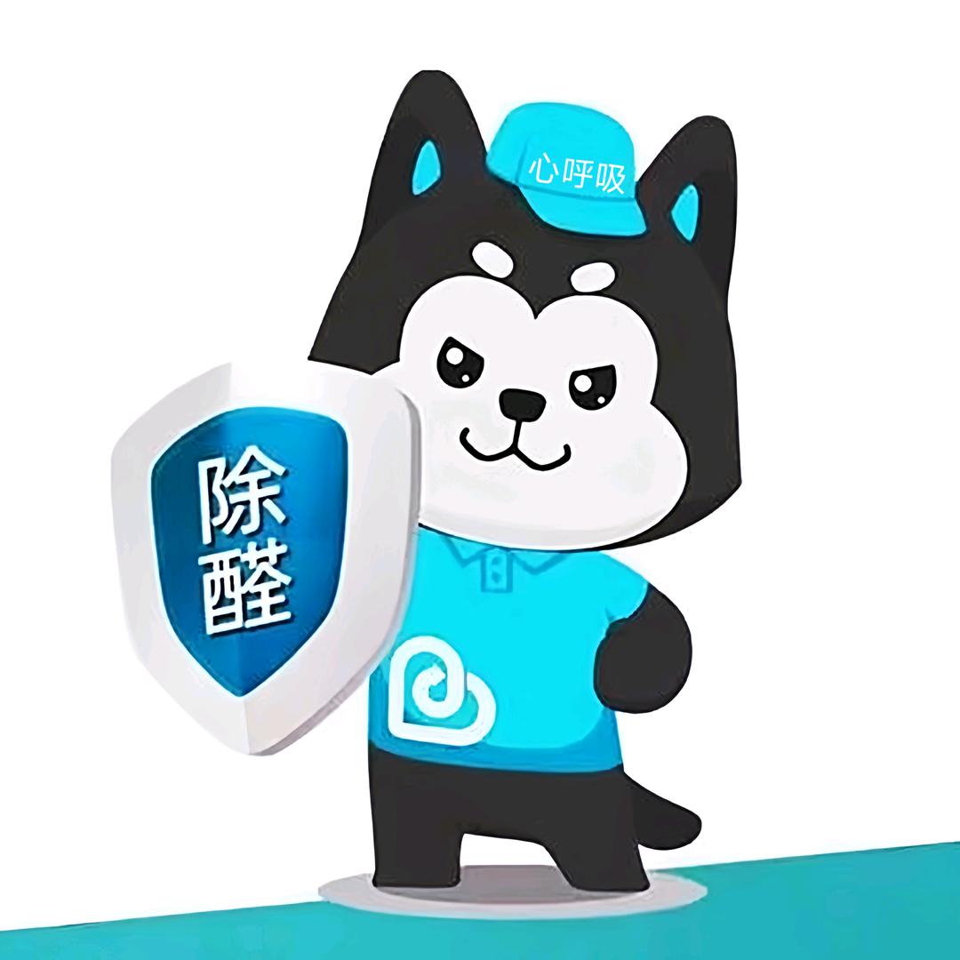 昆明心呼吸除甲醛