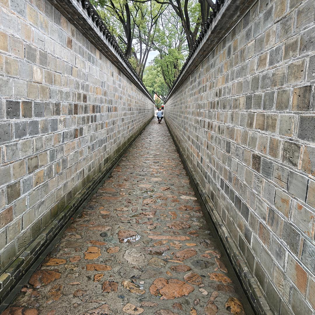 铁树开花（拒绝连赞）