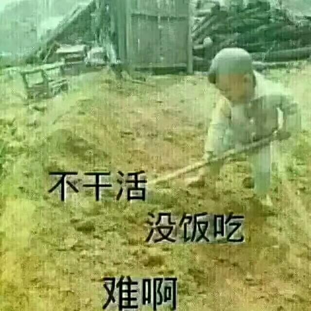 用户