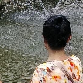 揽星河