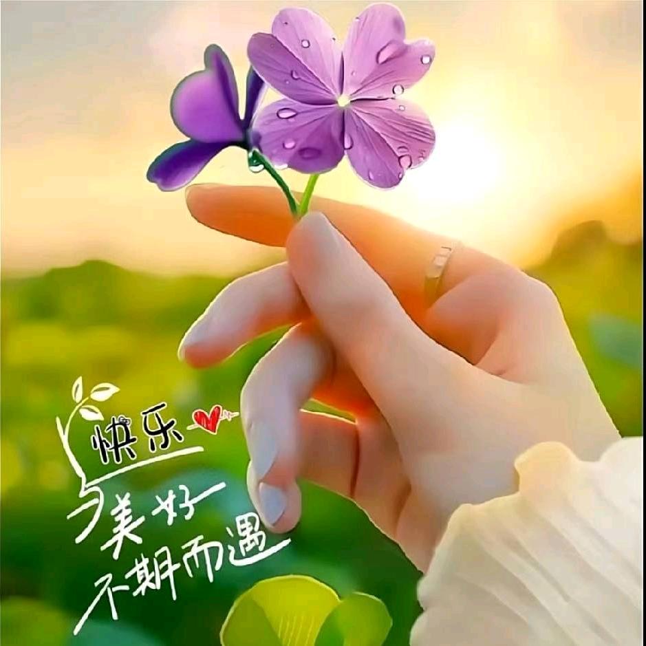 🌛💞情哥哥（官网认证账号）🍂