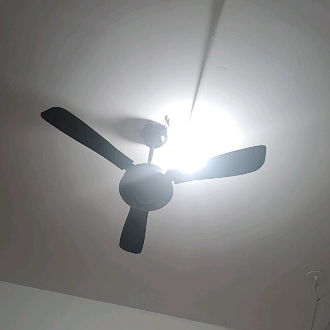 小小东（勤能补拙）