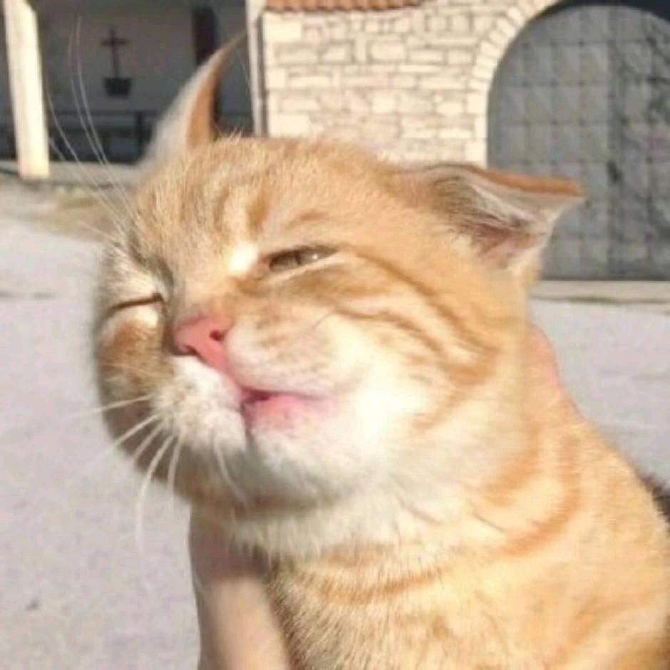 猪崽
