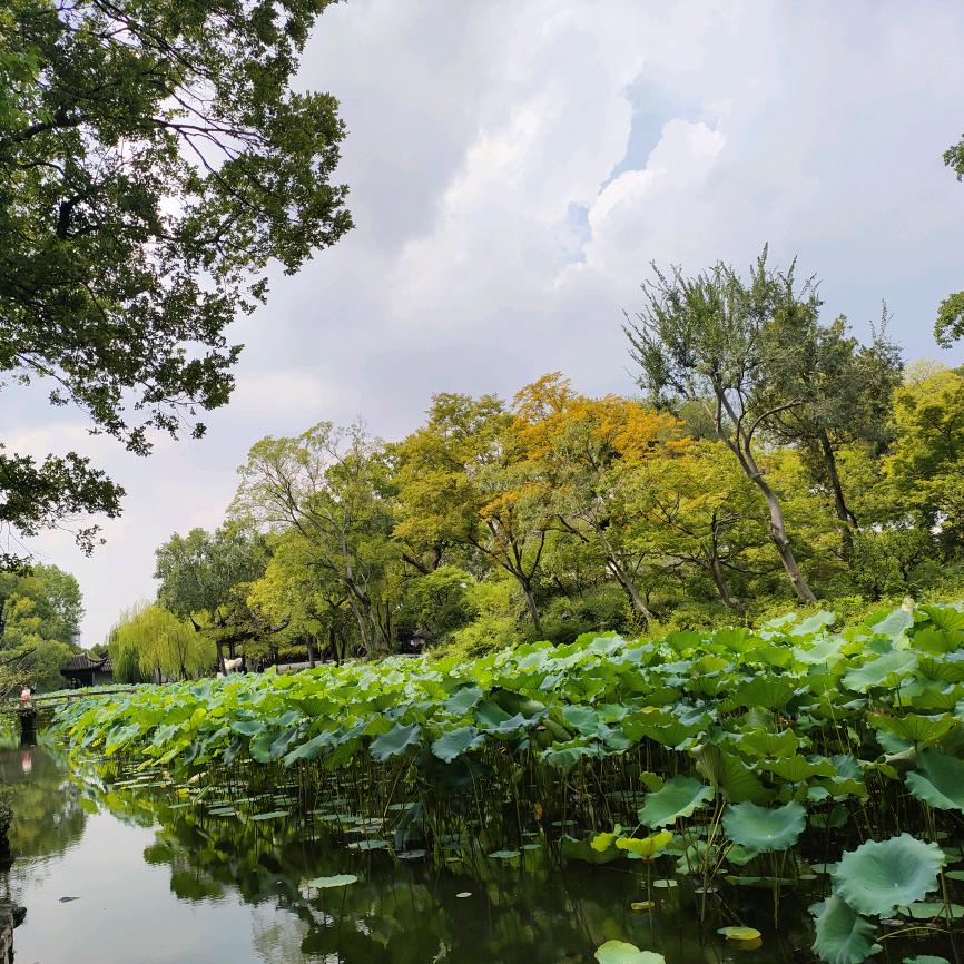 开心就好🎋🌹🎍