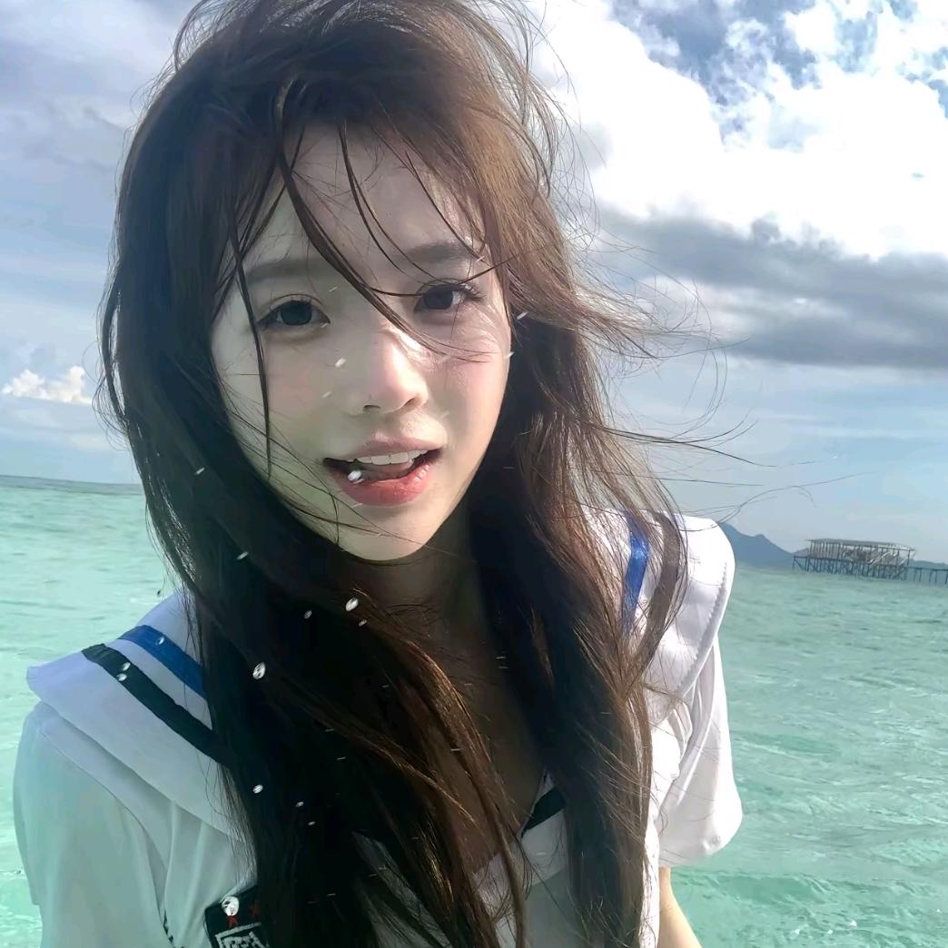 金浠车载好物