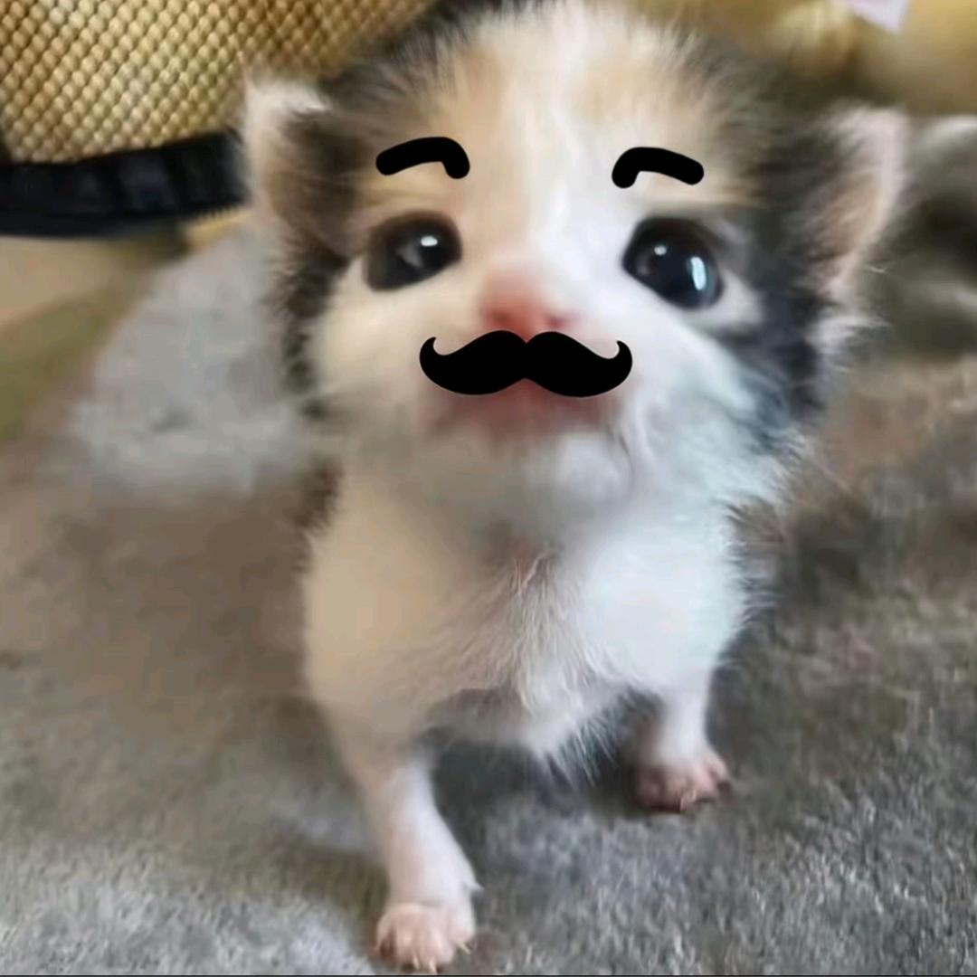 离予