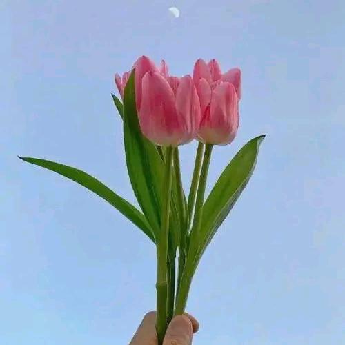 文娟手工活创业园店