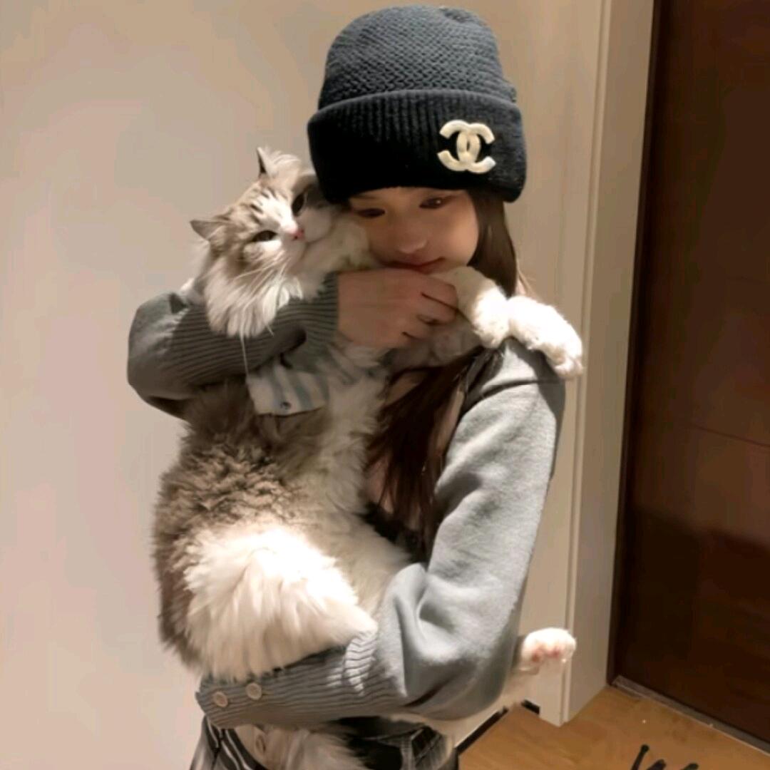 小猫呆呆的