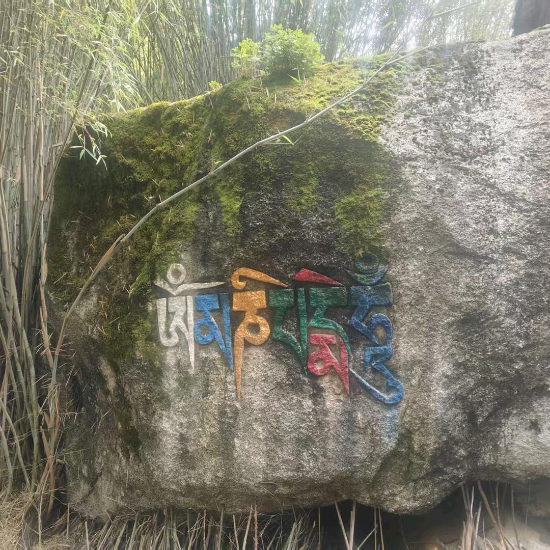 巴片