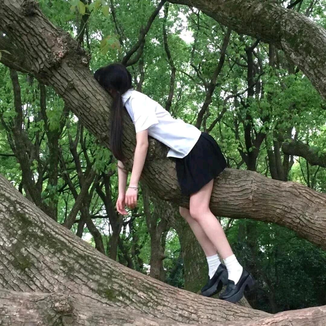 住请