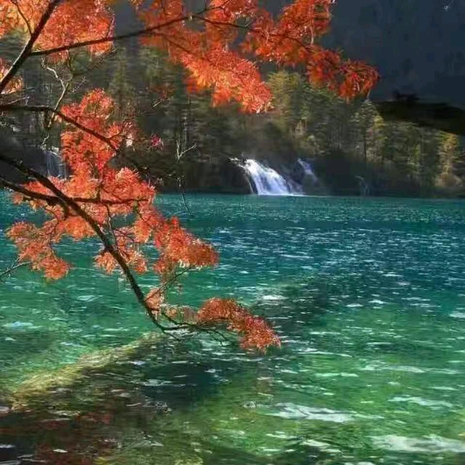 袁～xiang