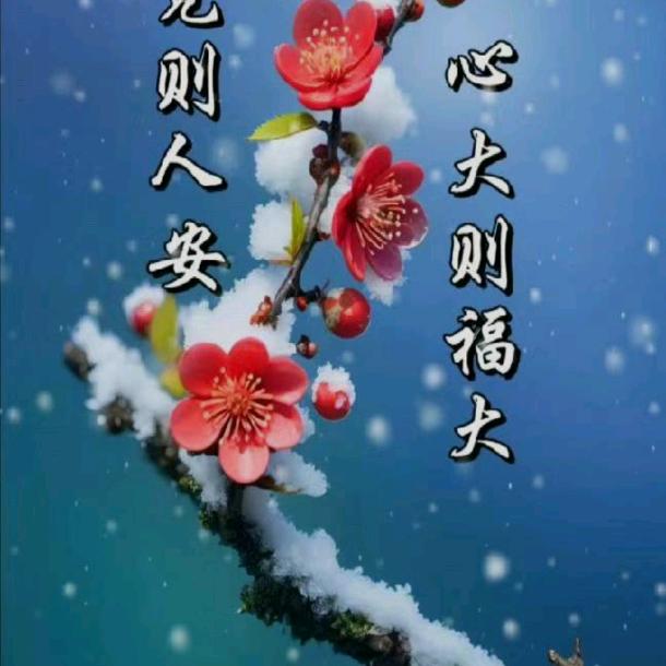 🌹🌹开心🌷🌷