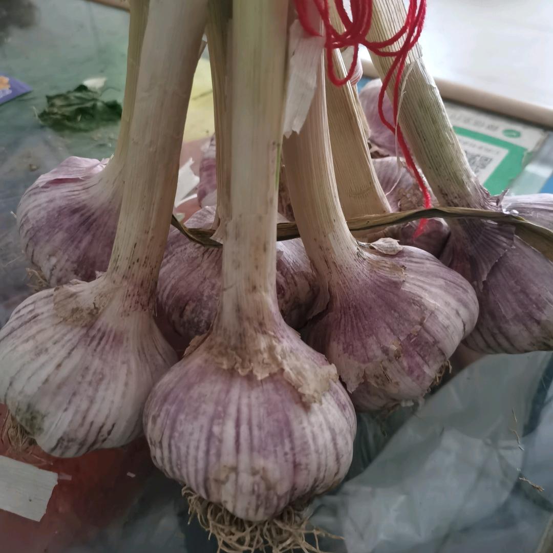 霍秀娥