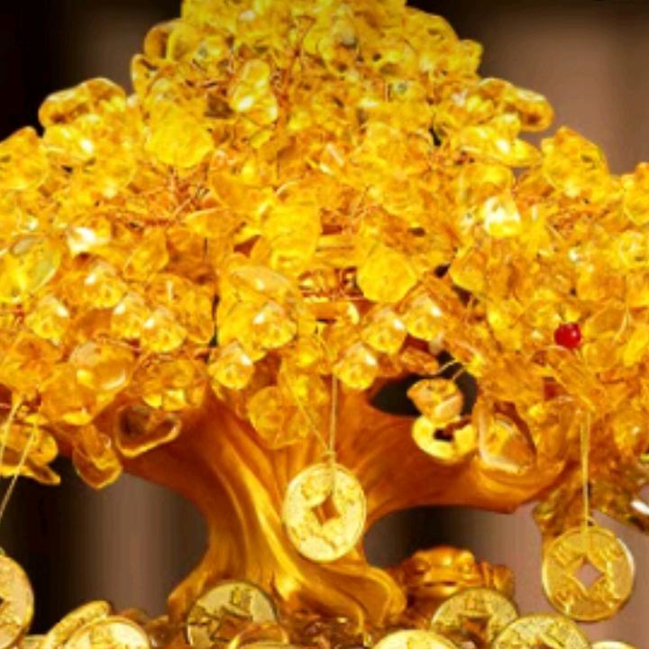 我是必须成功