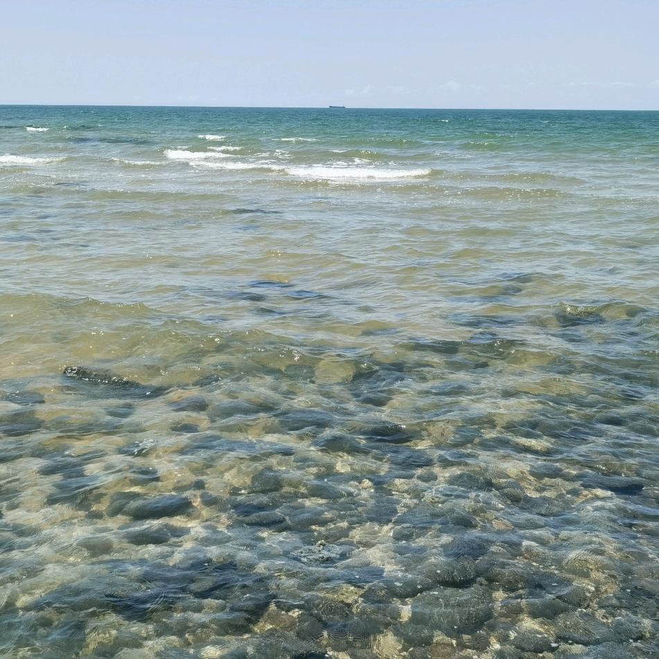 刘老师海南教育指导