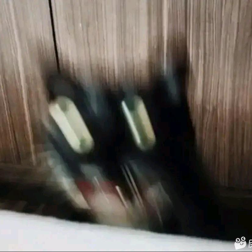 简称（鼠山掌门人）